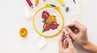 Hobi program